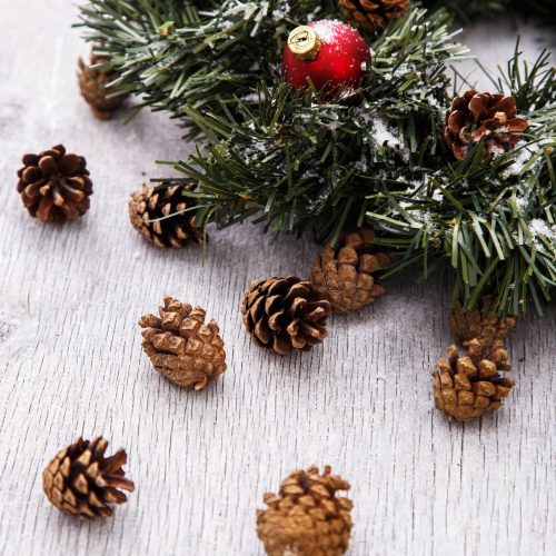 Pinecones and fir Pinecones with decorative Christmas balls and fir